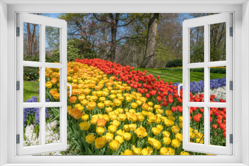 Fototapeta Naklejka Na Ścianę Okno 3D - Tulipes Keukenhof