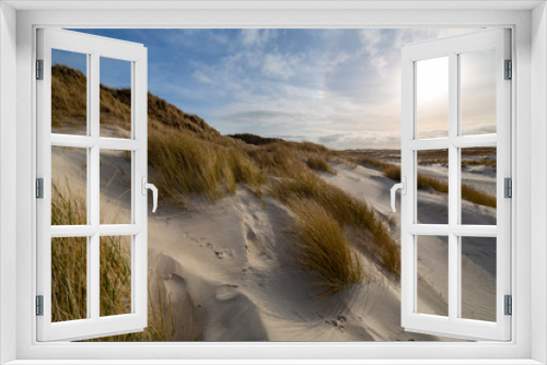 Fototapeta Naklejka Na Ścianę Okno 3D - Hardy marram grass on pristine white sand dunes