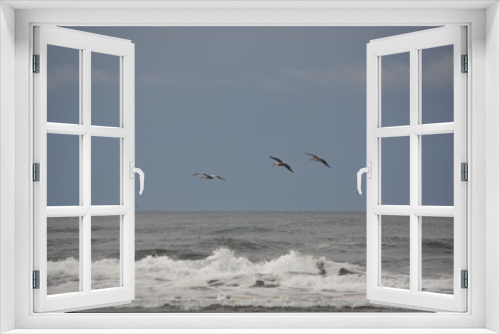 Fototapeta Naklejka Na Ścianę Okno 3D - Flying Pelicans