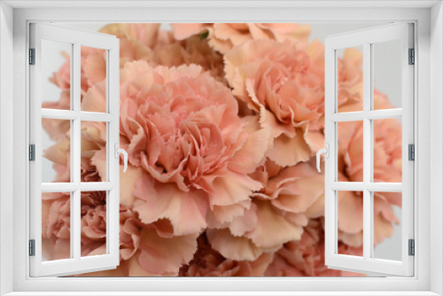Fototapeta Naklejka Na Ścianę Okno 3D - Beautiful peach carnation flower isolated on white background