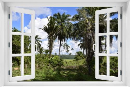 Fototapeta Naklejka Na Ścianę Okno 3D - Horizonte verde rural tropical