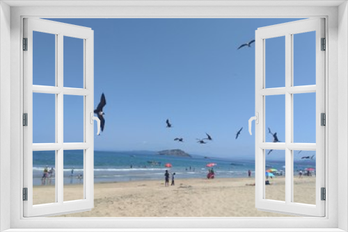 Fototapeta Naklejka Na Ścianę Okno 3D - Aves en la playa