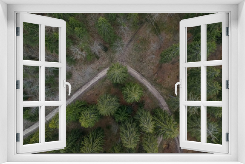 Fototapeta Naklejka Na Ścianę Okno 3D - Bäume von oben per Drohne