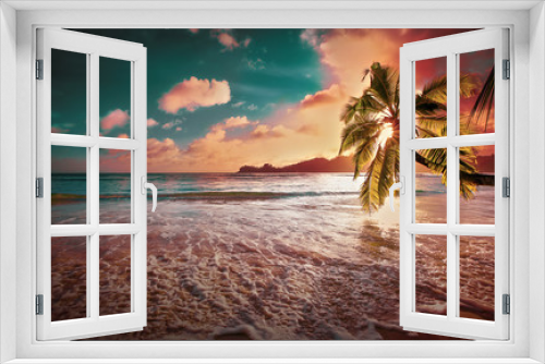 Fototapeta Naklejka Na Ścianę Okno 3D - Tropical Palm Tree in the Sunshine