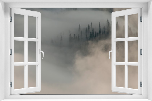 Fototapeta Naklejka Na Ścianę Okno 3D - Among swirling fog stands forest