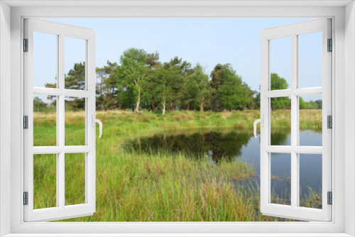 Fototapeta Naklejka Na Ścianę Okno 3D - Small lake in the Delleboersterheide, Oldeberkoop, Friesland, Netherlands. Trees reflecting in the water.