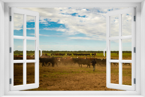 Fototapeta Naklejka Na Ścianę Okno 3D - persona arriando vacas