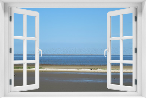 Fototapeta Naklejka Na Ścianę Okno 3D - Wadden Sea coast of Texel, a Dutch island in the north of the Netherlands.