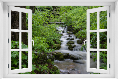 Fototapeta Naklejka Na Ścianę Okno 3D - The lush green forest of the Arkansas Ozark Mountains. A cascade washes down the lush green wilderness of the Arkansas landscape at Lost Valley State Park, AR.