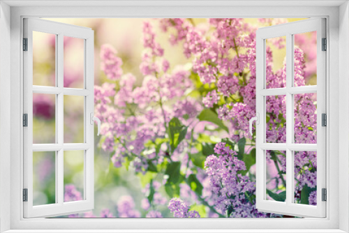 Fototapeta Naklejka Na Ścianę Okno 3D - Purple lilac flowers in spring blossom