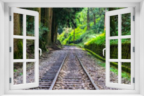 Fototapeta Naklejka Na Ścianę Okno 3D - railway track in a rainforest