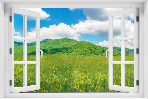 Fototapeta Naklejka Na Ścianę Okno 3D - panoramic summer countryside in mountains. wonderful sunny day scenery. grassy rural fields and meadows with wild herbs. hills and mountains in the distance. blue sky with fluffy clouds