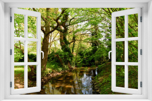 Fototapeta Naklejka Na Ścianę Okno 3D - Wonderful beautiful impressive landscape: The famous landscape in the Palatinate with green beech forest and stream on a beautiful summer day  / Germany in Europe.