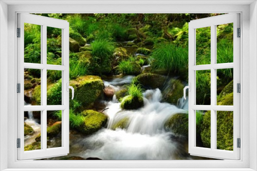 Fototapeta Naklejka Na Ścianę Okno 3D - Spring; Mountain brook , Stream , Water Movement 