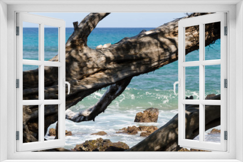 Fototapeta Naklejka Na Ścianę Okno 3D - Beautiful kiawe trees framing serenity of Waialea  beach