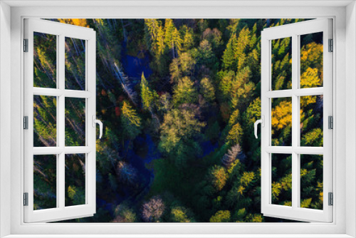 Fototapeta Naklejka Na Ścianę Okno 3D - Forest at the landscape from height of bird's flight from air balloon