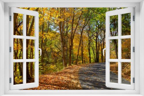 Fototapeta Naklejka Na Ścianę Okno 3D - Autumn backroad in Tennessee USA