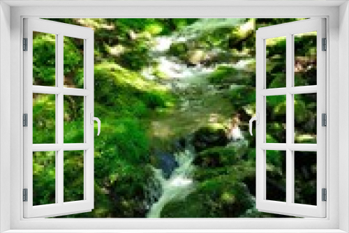 Fototapeta Naklejka Na Ścianę Okno 3D - 緑の渓流