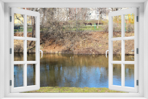 Fototapeta Naklejka Na Ścianę Okno 3D - Lovely summer day on the riverbank, with a nice blue sky and white clouds.