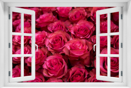 Fototapeta Naklejka Na Ścianę Okno 3D - Bush of burgundy rose flowers background texture filtered