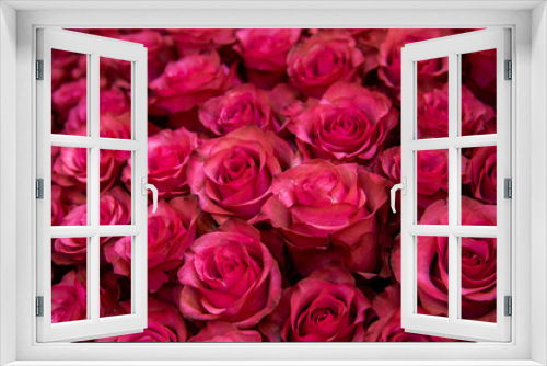 Bush of burgundy rose flowers background texture filtered