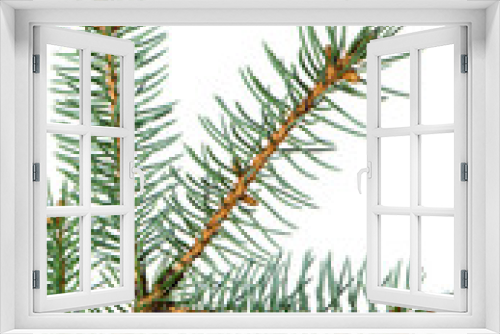 Fototapeta Naklejka Na Ścianę Okno 3D - Branch of a fur-tree