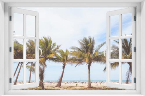 Fototapeta Naklejka Na Ścianę Okno 3D - Coconut trees with sea view background ,summer or vacation concept