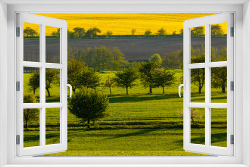 Fototapeta Naklejka Na Ścianę Okno 3D - panorama of spring fields criss-crossed with fruit tree rows