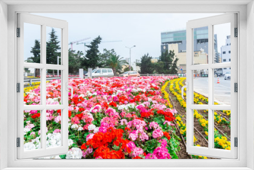 Fototapeta Naklejka Na Ścianę Okno 3D - Flowers arrangement and roundabouts 