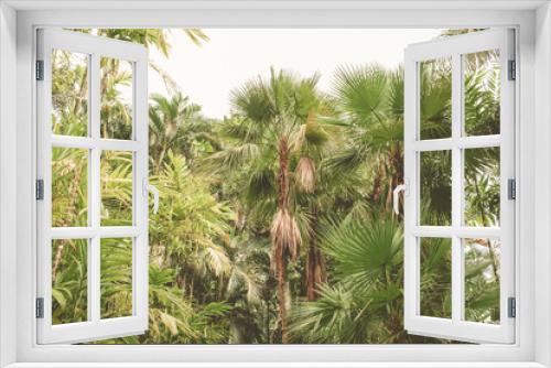Fototapeta Naklejka Na Ścianę Okno 3D - Tropischer Garten Jardin de Balata auf Martinique in der Karibik