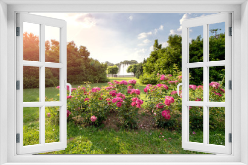 Fototapeta Naklejka Na Ścianę Okno 3D - Roses in park