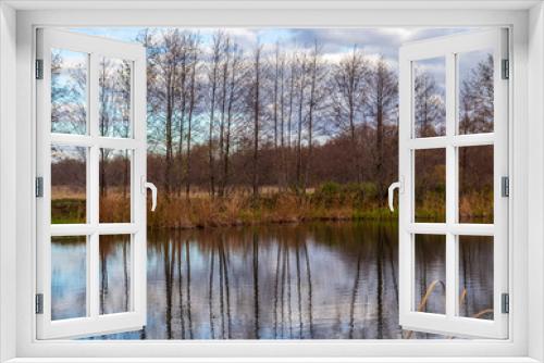 Fototapeta Naklejka Na Ścianę Okno 3D - Pond in nature in autumn