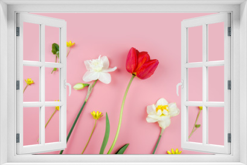 Fototapeta Naklejka Na Ścianę Okno 3D - Decoration of Women's Day or Mother's Day. Frame of red tulips, narcissus, hyacinths and flowers muscari on white background with space for text.
