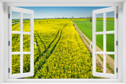 Fototapeta Naklejka Na Ścianę Okno 3D - Flying above yellow and green rape fields in the countryside