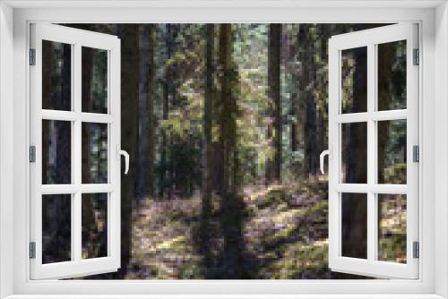Fototapeta Naklejka Na Ścianę Okno 3D - dark forest with tree trunks casting shadows on the ground
