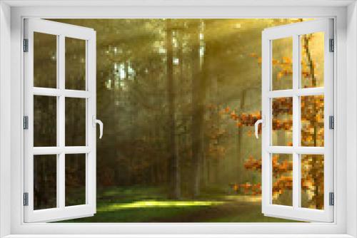 Fototapeta Naklejka Na Ścianę Okno 3D - Sonnenstrahlen brechen morgens durch das Laub der Bäume