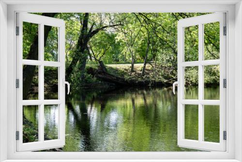 Fototapeta Naklejka Na Ścianę Okno 3D - lake in a city park on a sunny day