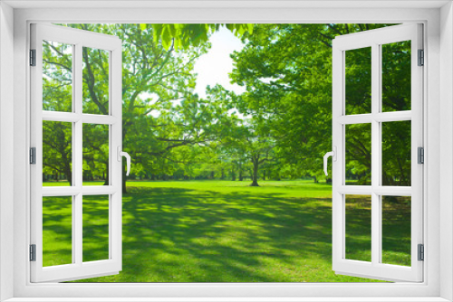 Fototapeta Naklejka Na Ścianę Okno 3D - summer garden