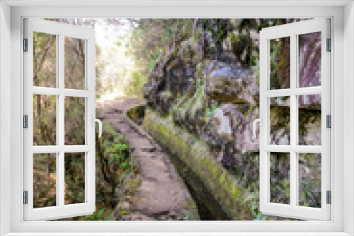 Fototapeta Naklejka Na Ścianę Okno 3D - Levada walk in Madeira in a summer sunny day through the forest path