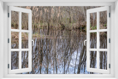 Fototapeta Naklejka Na Ścianę Okno 3D - forest lake surrounded by tree trunks and branches with no leaves