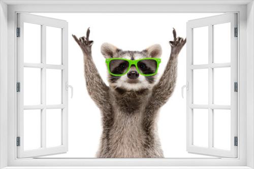 Fototapeta Naklejka Na Ścianę Okno 3D - Funny raccoon in green sunglasses showing a rock gesture isolated on white background