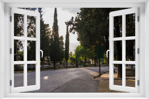 Fototapeta Naklejka Na Ścianę Okno 3D - Perspective view of the curved road, graves and trees on the Montjuic Cemetery, Barcelona, Catalonia, Spain
