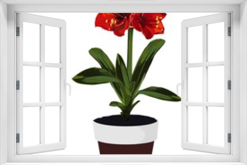 Fototapeta Naklejka Na Ścianę Okno 3D - Red exotic lilies in pot. Houseplant in pots. Green natural décor for home and interior. 