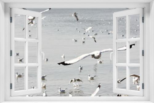 Fototapeta Naklejka Na Ścianę Okno 3D - seagulls freedom fly with seagulls on sea background