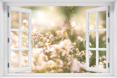 Fototapeta Naklejka Na Ścianę Okno 3D - flowers in spring