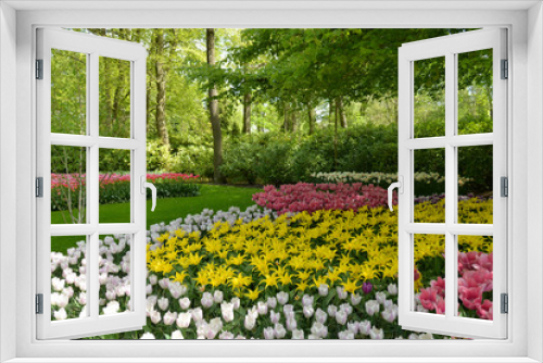 Fototapeta Naklejka Na Ścianę Okno 3D - Flowers in Keukenhof gardens.