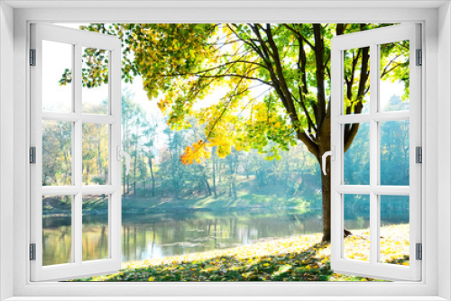 Fototapeta Naklejka Na Ścianę Okno 3D - Autumn trees with multicolored leaves with view to the lake. Sunlight from maple foliage in sunny day.