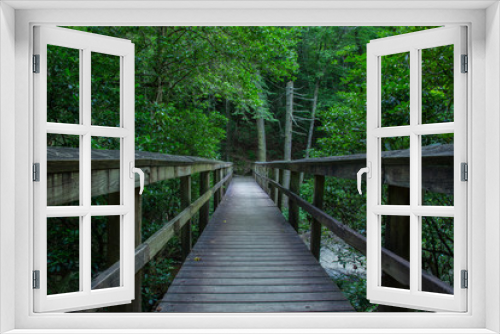 Fototapeta Naklejka Na Ścianę Okno 3D - Bridge in forest with green trees surrounding