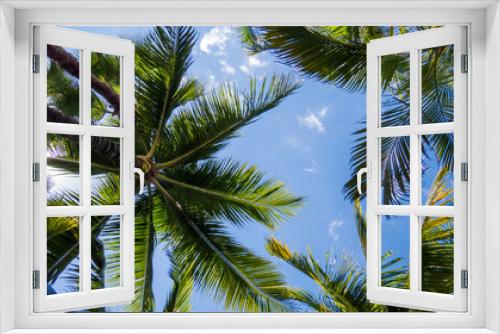 Fototapeta Naklejka Na Ścianę Okno 3D - Beautiful and healthy palm trees in the warm and bright sunlight of the Bahamas.