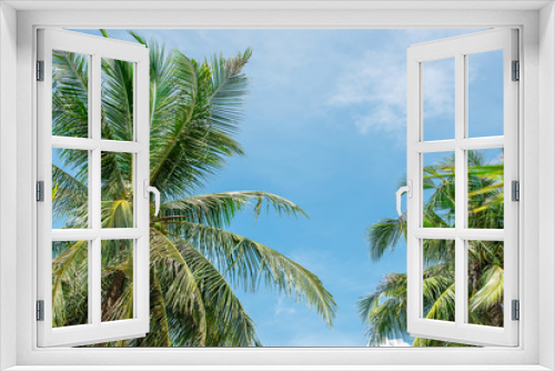Fototapeta Naklejka Na Ścianę Okno 3D -  coconut palm tree in seaside, summer vacation to tropical island concept for background.